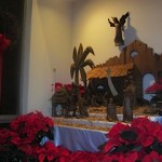 IMG_1111 IMG_1111