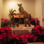 IMG_1113 IMG_1113