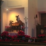 IMG_1114 IMG_1114