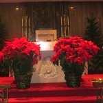 IMG_1116 IMG_1116