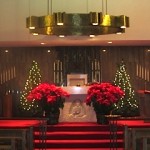 IMG_1117 IMG_1117