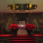 IMG_1117 IMG_1117